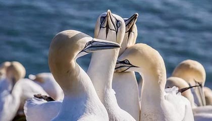 绍兴2026年最新杭州高端商务伴游招聘网渠道分享(最方便真实的绍兴茉莉伴游伴游天下全国联盟方法)