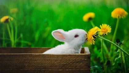 绍兴2026年最新杭州高端商务伴游招聘网渠道分享(最方便真实的绍兴茉莉伴游伴游天下全国联盟方法)